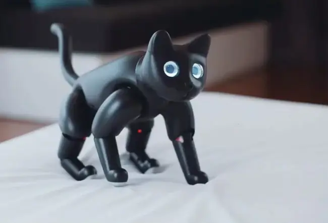 Feline Interaction Robot : 猫互动机器人