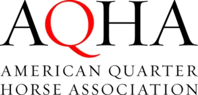 American Quarter Horse Association : 美国四分之一马协会