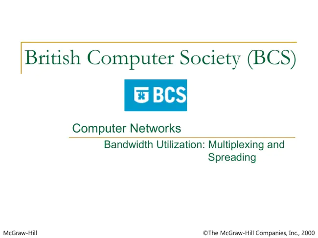 Multiple Frequency Network : 多频网络