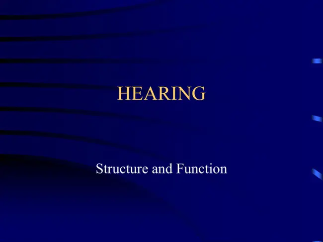 Auditory Integration Therapy : 听觉整合疗法