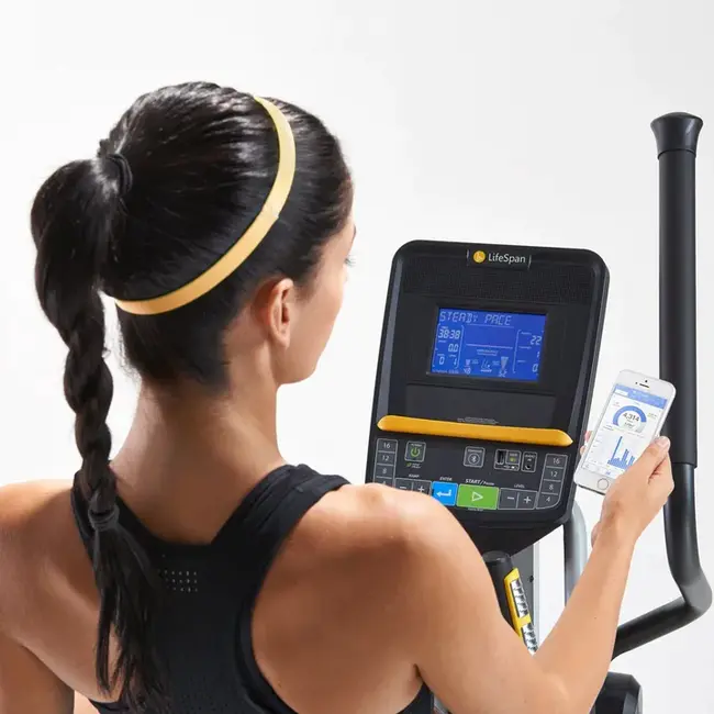 Lifespan Setting : 寿命设置