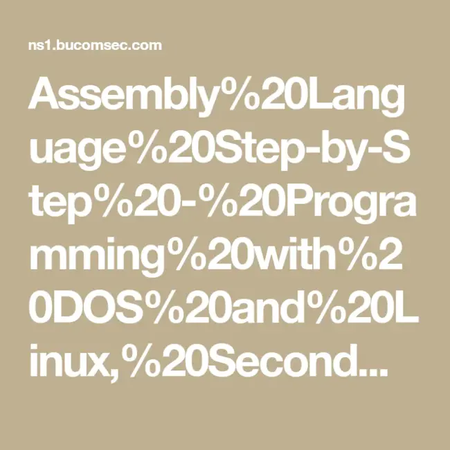 Assembly Language : 汇编语言