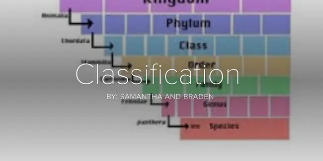 Classification And Regression Tree : 分类回归树