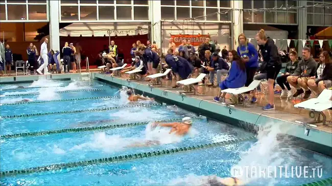 Amateur Swimming Association : 业余游泳协会