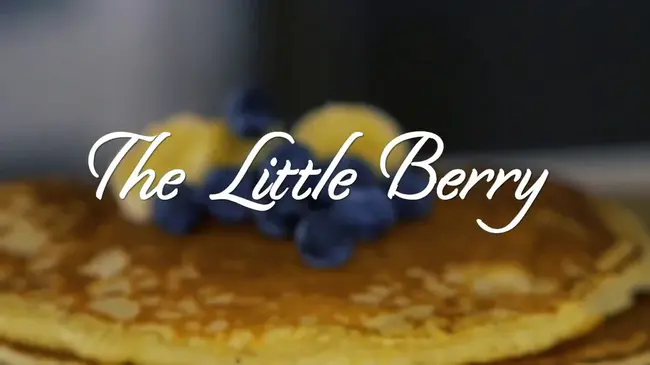 Little Berry : 小浆果