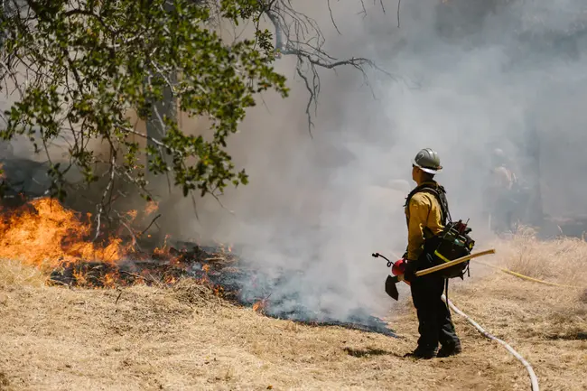 Wildfire Hazard Identification And Mitigation System : 野火危险识别和缓解系统