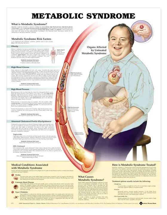 Metabolic Energy : 代谢能