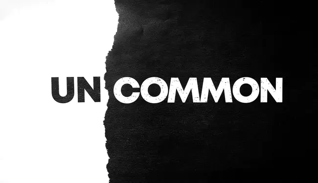 Uncommon : 罕见的