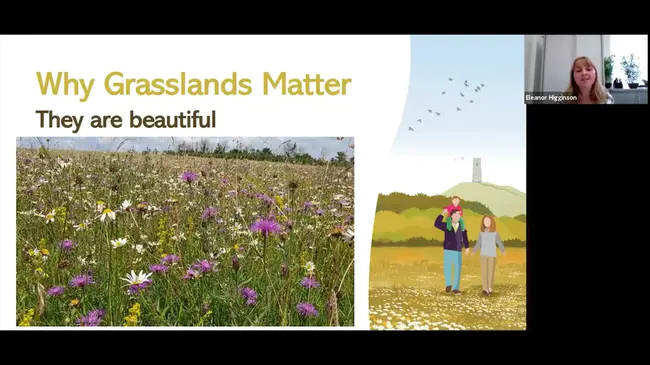 Grasslands Restoration Project : 草原恢复工程