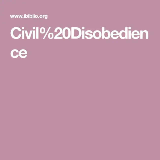 Civil Disobedience : 公民不服从