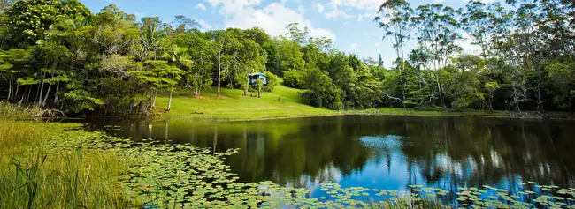 Lake Placid Garden Club : 普莱西德湖花园俱乐部