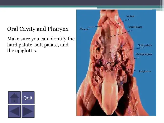 Virtual Dissection Software package : 虚拟解剖软件包