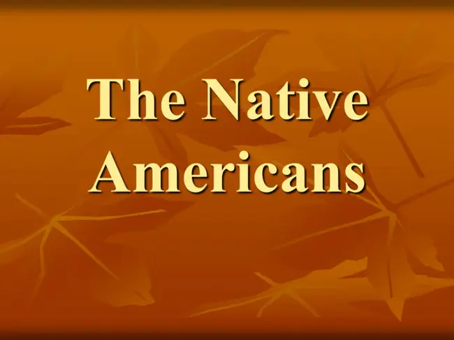 Native American Alliance Foundation : 美洲土著联盟基金会