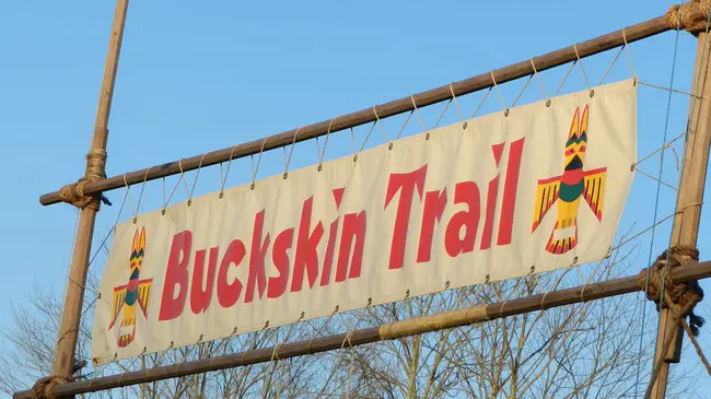 Wisconsin Buckskin Horses Association : 威斯康星鹿皮马协会