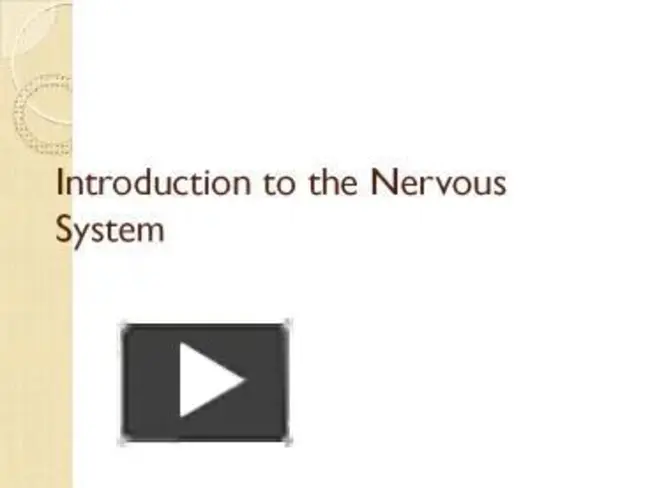 Other Nervous System : 其他神经系统