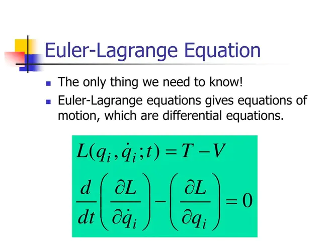 Euler-LaGrange : 欧拉-拉格朗日