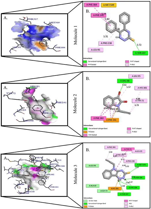 Cytosine Adenosine And Guanosine : 胞嘧啶腺苷和鸟苷