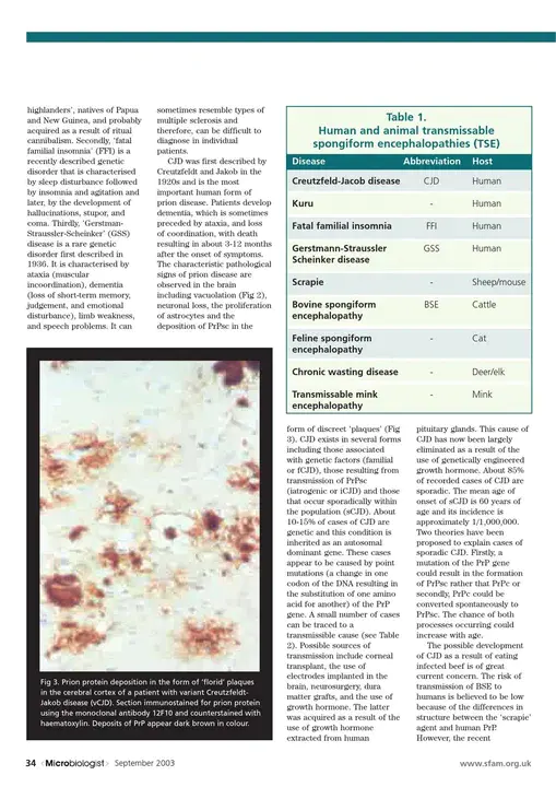 Microbiology Immunology And Preventitive Medicine : 微生物学免疫学与预防医学