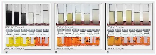 Irradiated Fuels Examination Laboratory : 辐照燃料检验实验室