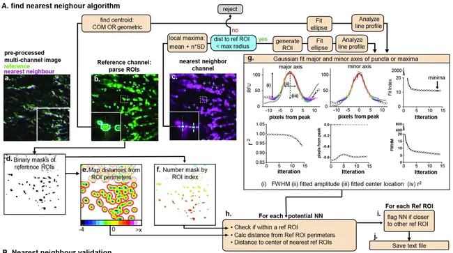 Molecular Cardiology Research Center : 分子心脏病学研究中心