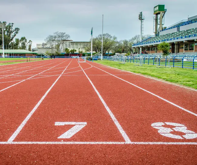 College Of Sport Psychologists : 运动心理学家学院