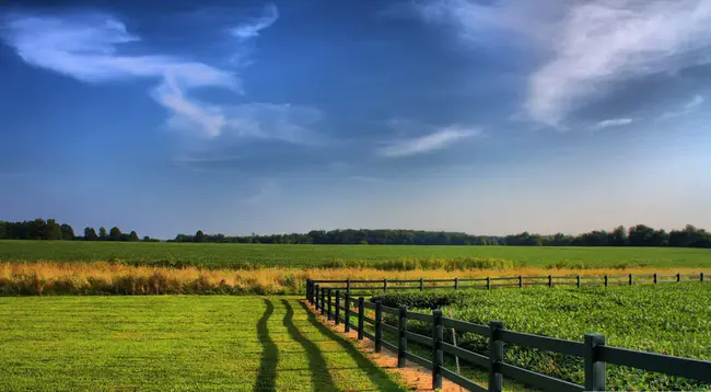 Carolina Farm Stewardship Association : 卡罗莱纳州农场管理协会