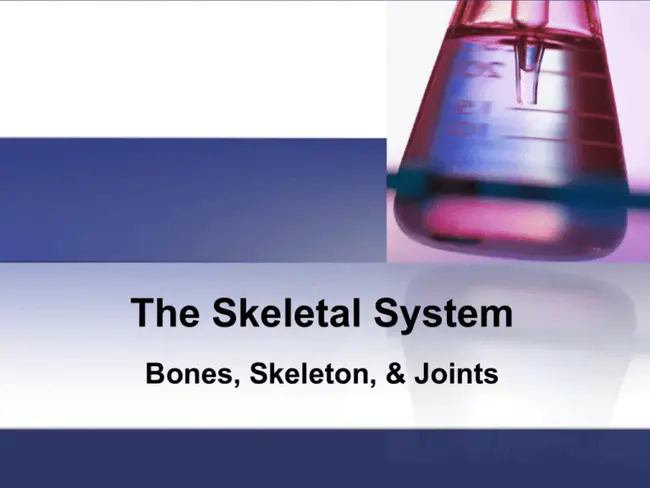 Internal Skeletal Fixation System : 内骨骼固定系统