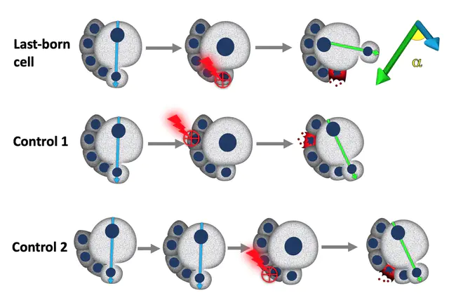 Laser Ablation Inductively Coupled Plasma Mass Spectrometer : 激光烧蚀电感耦合等离子体质谱仪