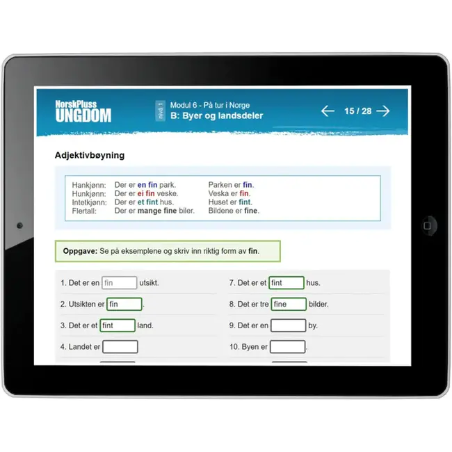 Nordisk Informasjonssenter For Flaggermus : 北欧蝙蝠信息中心