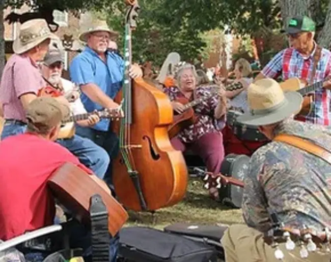 Alabama Bluegrass Music Association : 阿拉巴马蓝草音乐协会