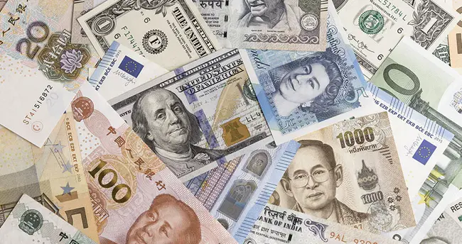 Foreign Currency Denominated Account : 外币计价账户