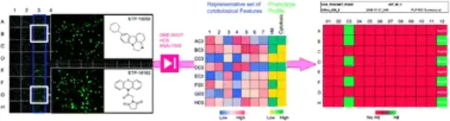 Automated Accelerated Characterization Test System : 自动加速特性测试系统