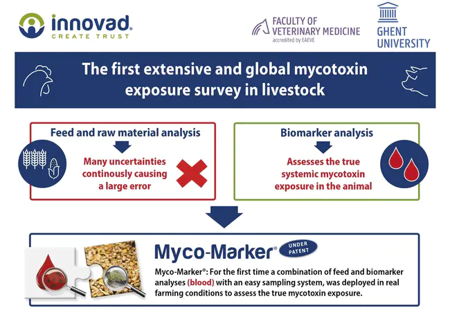 European Mycotoxin Awareness Network : 欧洲真菌毒素认识网络