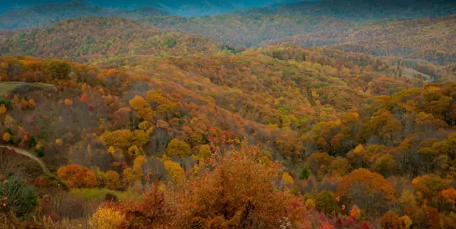 Appalachian Regional Recycling Consortium : 阿巴拉契亚地区回收协会