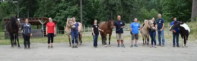 Cowichan Therapeutic Riding Association : 科维奇骑术治疗协会