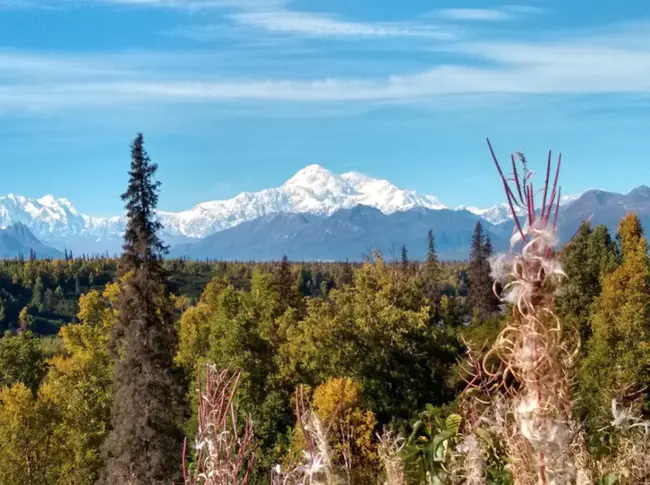 Alaska Open Imaging Center : 阿拉斯加开放成像中心