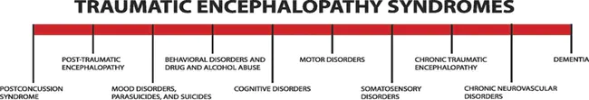 Associated and Comprehensive Neurotherapy : 综合性神经疗法