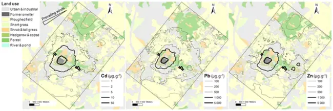 In-Situ Bio-geochemical Stabilization : 原位生物地球化学稳定