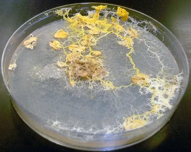 Soil Conservation Research Laboratory : 水土保持研究室