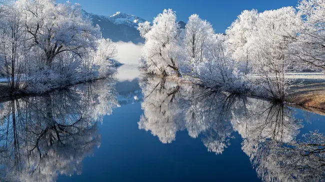 Lake Forest Park : 湖森林公园