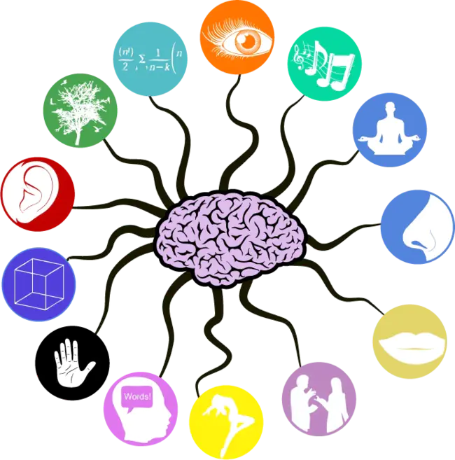 Music Intelligence Neuronal Development : 音乐智能神经发育