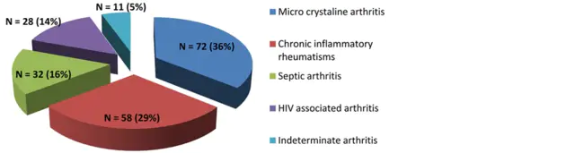 South African Rheumatism and Arthritis Association : 南非风湿病和关节炎协会