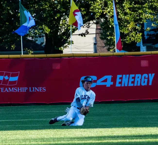 Alberta Amateur Softball Association : 艾伯塔业余垒球协会