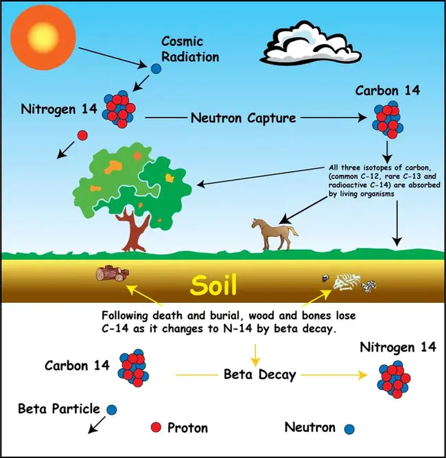 Radiocarbon And Isotope Research Group : 放射性碳和同位素研究组