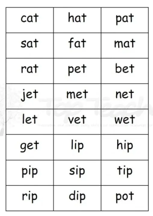 Co Curricular Activities Points System : 课外活动积分制