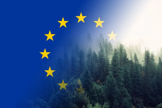 European Forest Information System : 欧洲森林信息系统