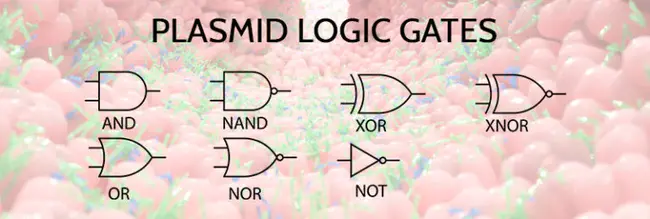 Functional Genomics Experiments : 功能基因组学实验