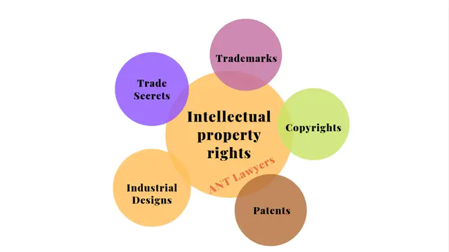 Intellectual Property Organization : 知识产权组织