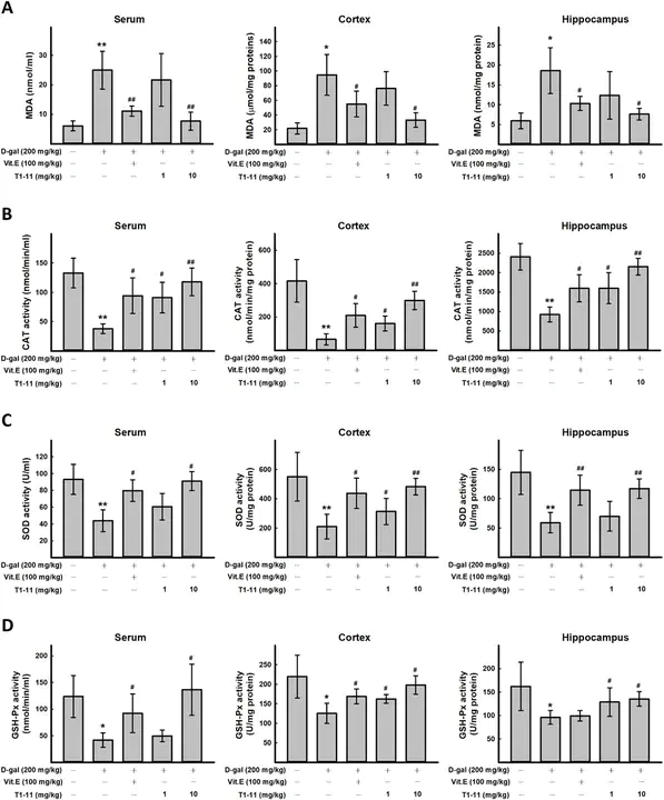 Mouse Serum Amyloid A : 小鼠血清淀粉样蛋白A