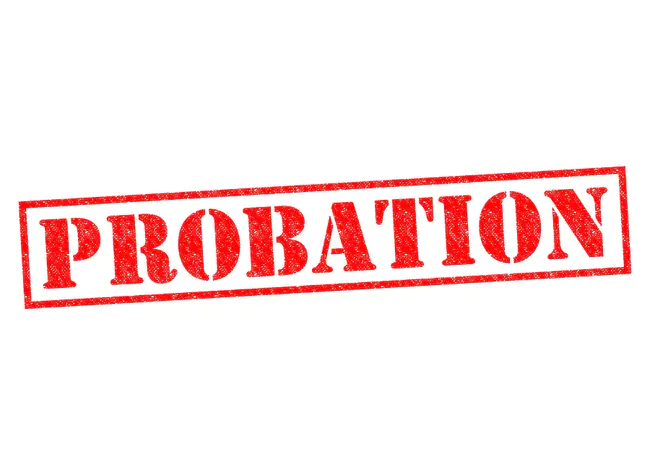 Probation : 试用期